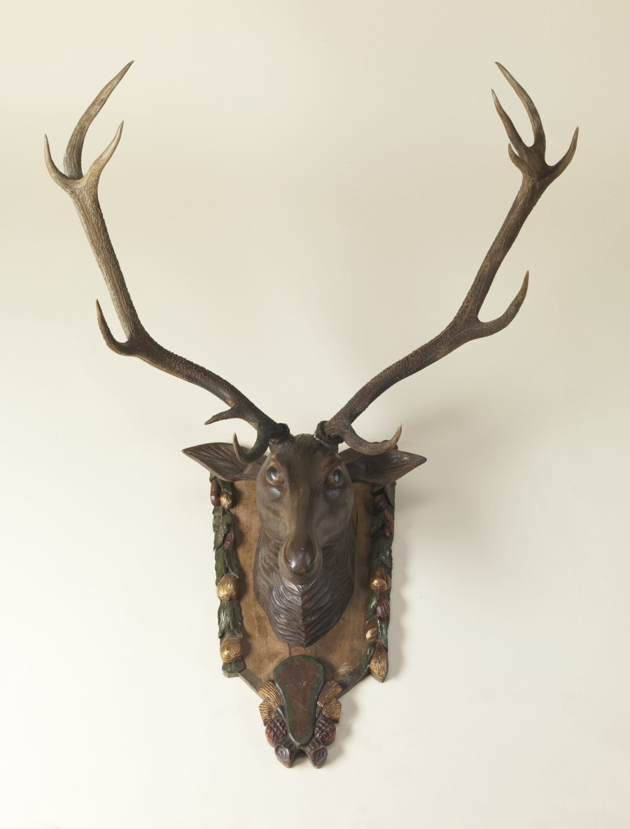 Trofeo di caccia
Europa centrale, fine XIX secolo (Naturalia )