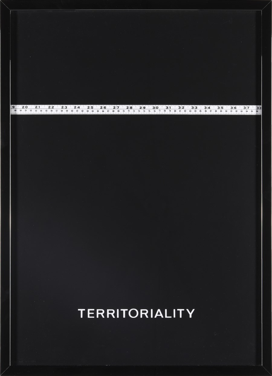 Territoriality (Vincenzo  Agnetti )