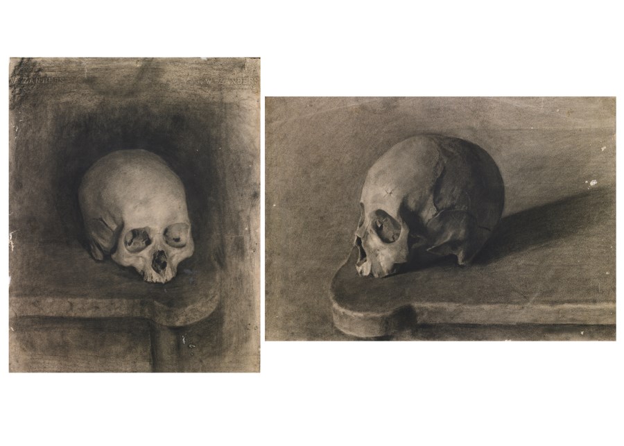 Coppia di disegni raffiguranti vanitas. ( Artista Del XIX-XX Secolo)