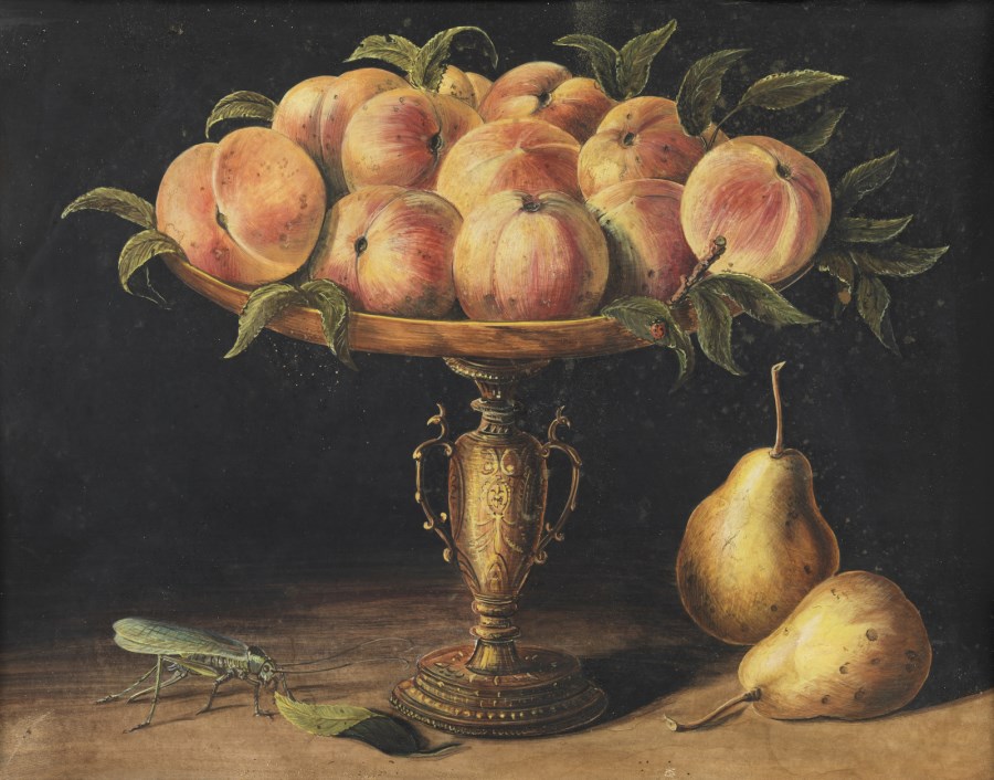 Still life with metal stand, peaches, grasshopper and pears. (Giovanna  Garzoni)