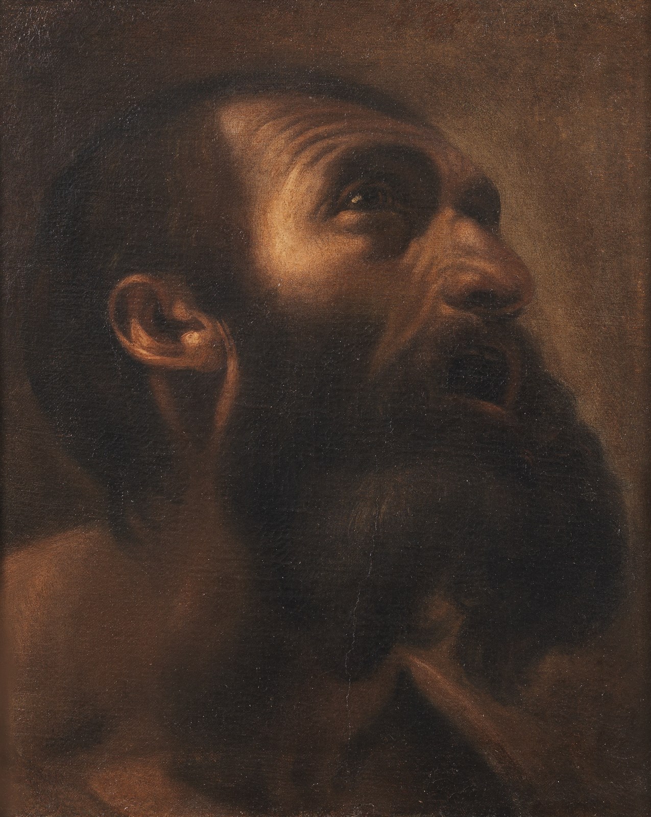 Testa d'uomo con barba ( Artista Bresciano Del XVI Secolo)