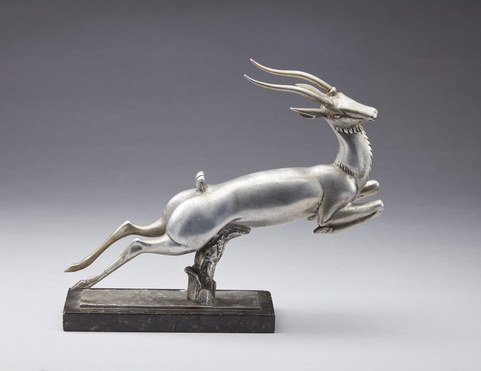 Antilope. (Carlo Lorenzetti)