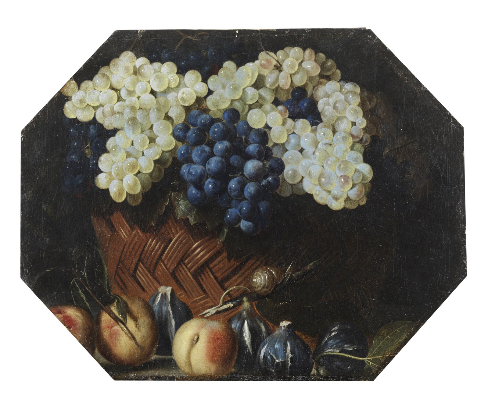 Natura morta con uva, pesche, fichi e lumaca ( Artista Del XVII Secolo)