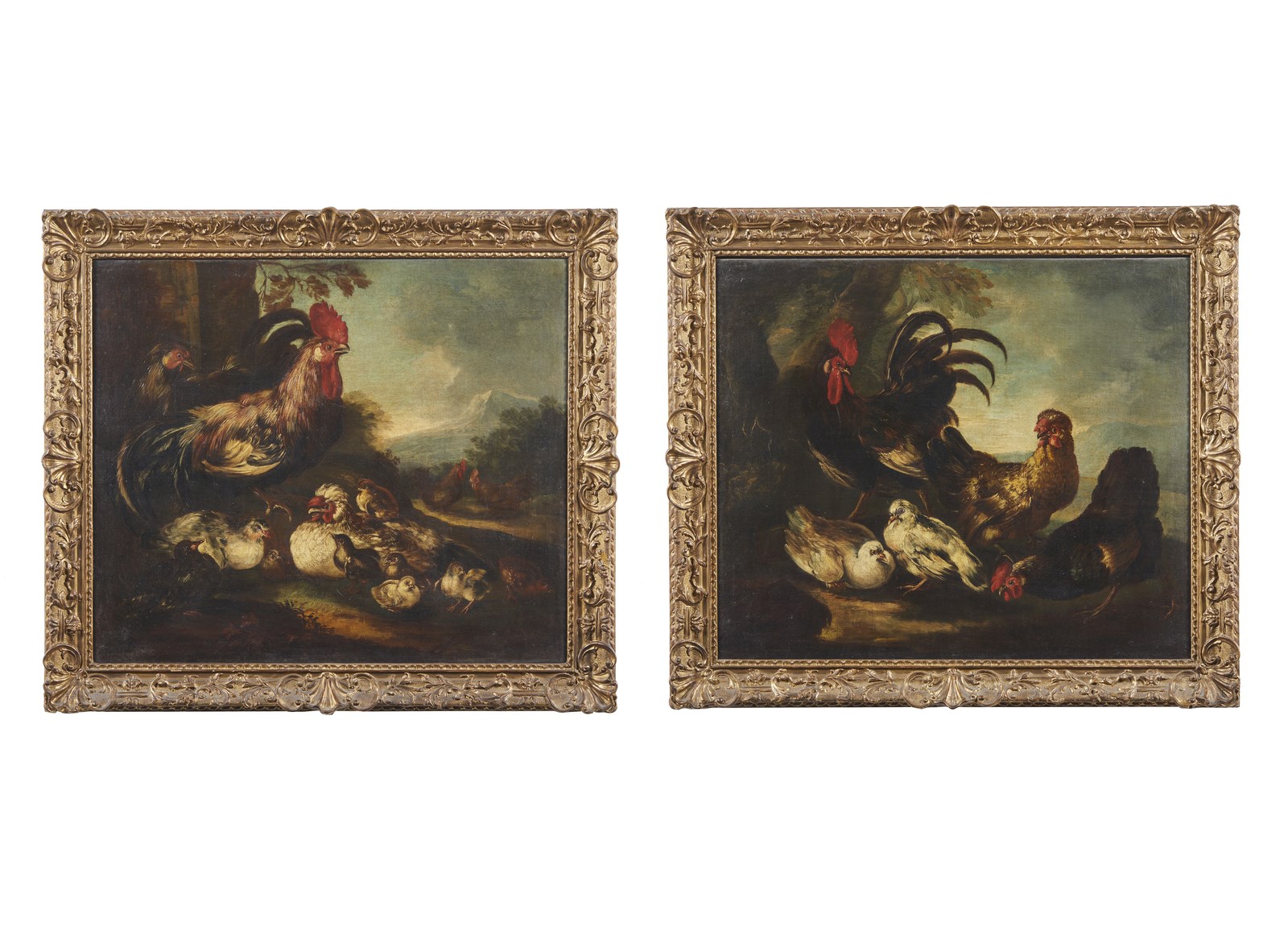 Coppia di dipinti raffiguranti volatili (Angelo Maria  Crivelli Detto Il Crivellone)
