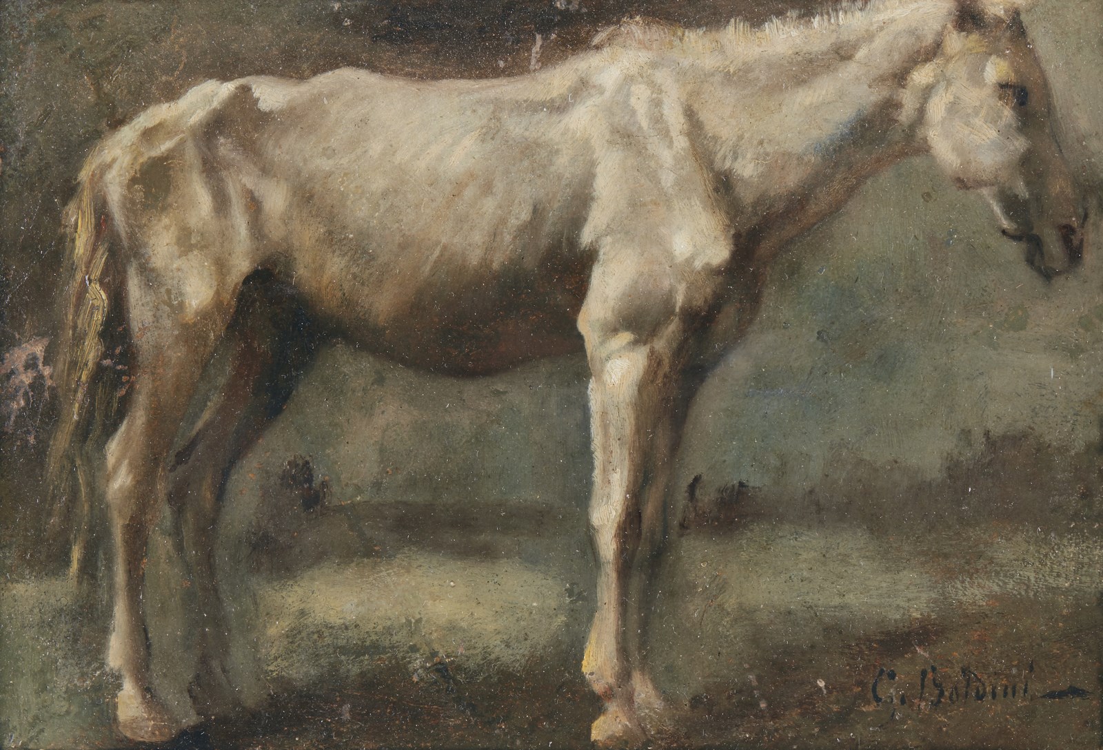 Cavallo ( Artista Del XIX Secolo)
