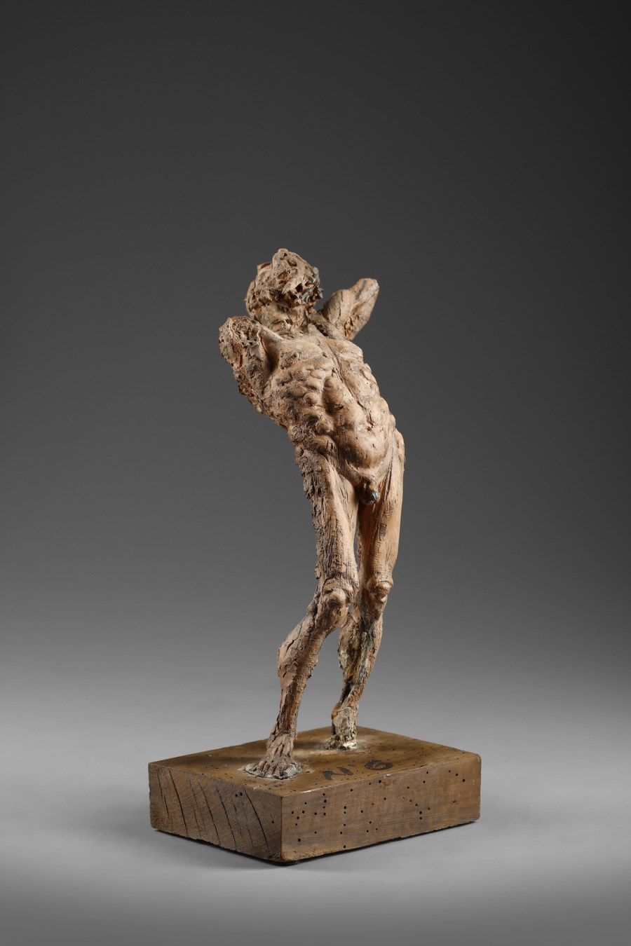 Modello anatomico in terracotta rappresentante una figura virile ( Plasticatore Italiano Del XIX Secolo)
